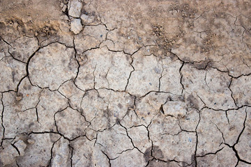texture of cracks in dry ground