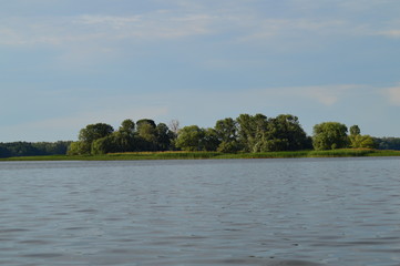 View from river to shore