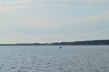 View from river to shore