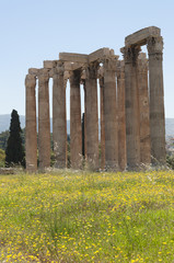 Fototapeta premium Temple of Olympian Zeus, Athens, Greece