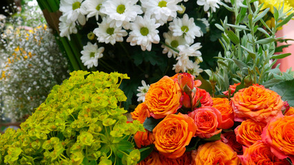 Beautiful spring flowers in a flower shop