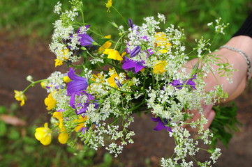 A bouquet of bright wildflowers - bells, buttercups and others in a woman's hand