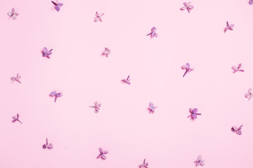 Lilac blossom flowers pattern in pink colors. Minimal creative background. top view, flat lay.