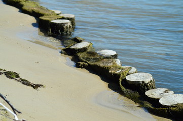 barrier from wooden stumps along the coast