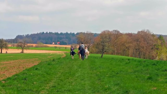 Reitausflug Reiten mit Pferden