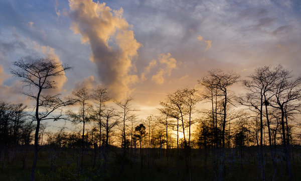 Sunset At Big Cypress 3