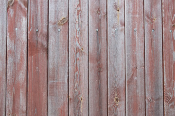 Fototapeta premium Background made of wood. Wooden background. Wood texture.