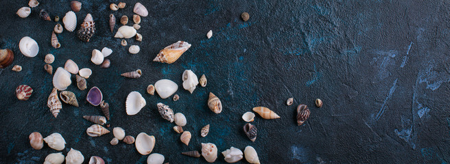 Blue stone background, different shells, copy space