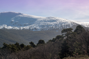 Fototapeta premium Village of Valsain, known for its wood. Donkey grazing, typical houses and peak of Peñalara. In Sierra de Guadarrama National Park, Segovia, Spain.