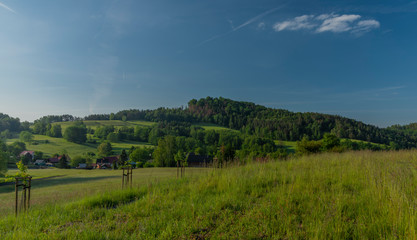 Fields meadows pasture land in national park in spring color morning