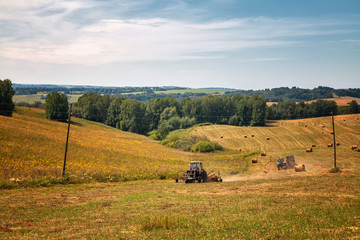 Fototapeta na wymiar Hayfield. Hay harvesting Sunny autumn landscape. rolls of fresh dry hay in the fields. tractor collects mown grass. fields of yellow mown grass against a blue sky.