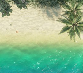 Top view on a sandy beach with crystal water and palm. 3D rendering. 