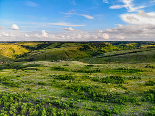 Beautiful picturesque spring landscape with green steppe