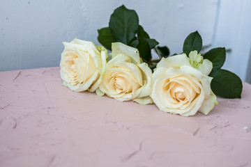 Fototapeta premium three white roses on a light background, copy space