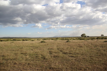 Landscape in a game reserve 