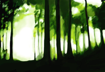 Forest illustration