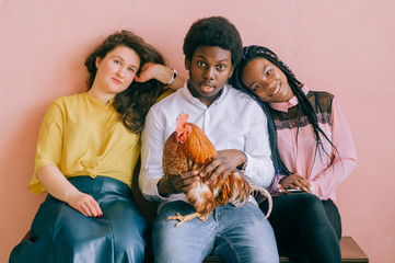Funny interracial thresome holding chicken in hands on pink background in home interior.