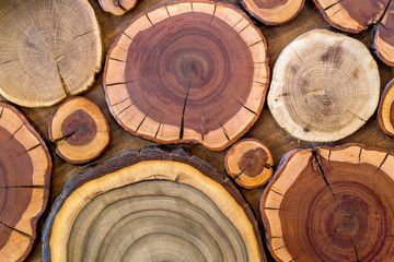 Round wooden unpainted solid natural ecological soft colored brown and yellow crackled stumps...