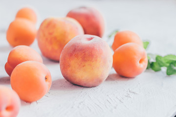 Peaches and apricots on a white background pastel toned