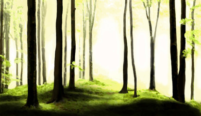 Forest illustration