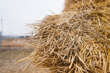 Storage with piles of stacks of hay