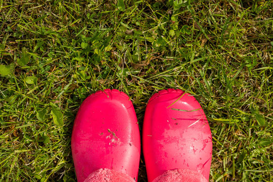 Looking down pink color shoes rubber on grass.woman in rubber boots walking in the rain. girl wearing pink rain boots outside. gumboots on lawn.Copy space