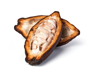 Cocoa pod on a white background