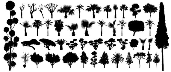 Tree silhouette black vector. Isolated set forest plants bushes on white background