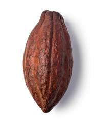 Cocoa pod on a white background