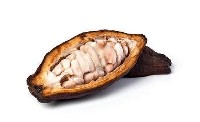 Cocoa pod on a white background