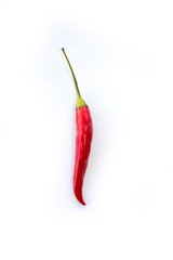 Eine Rote Chili