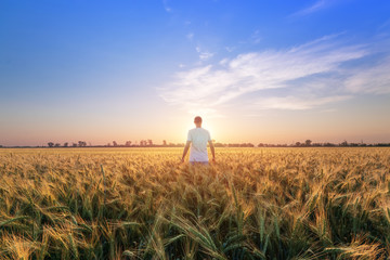 photographer while working search for a story / evening landscape man on the field