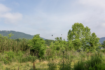 Obraz premium Home and Landscape