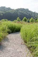 Home and Garden Landscaping