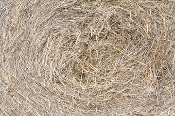 hay background