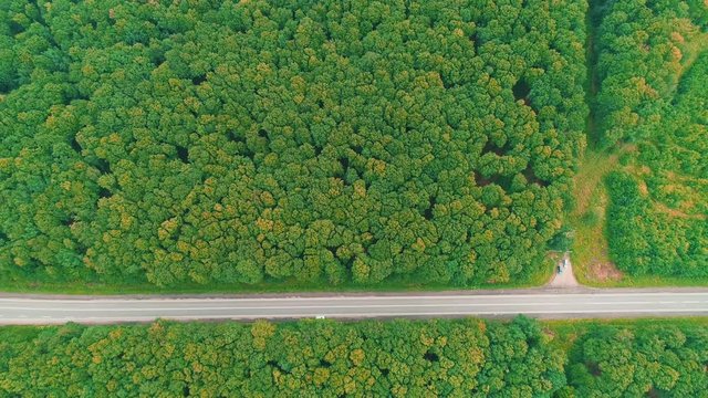 Different cars are missing one another, driving down an asphalt road crossing the vast forest on a sunny summer day. 4K.