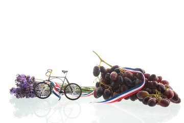 Biking in France on white background