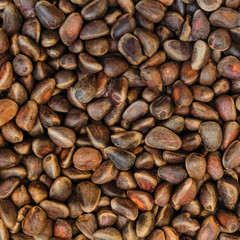 Pile of cedar pine seeds. Unpeeled pine nuts.