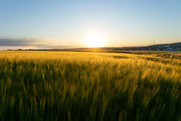 Obraz premium Atemberaubender Sonnenuntergang 
