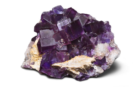 Purple fluorite crystals, on a white background.