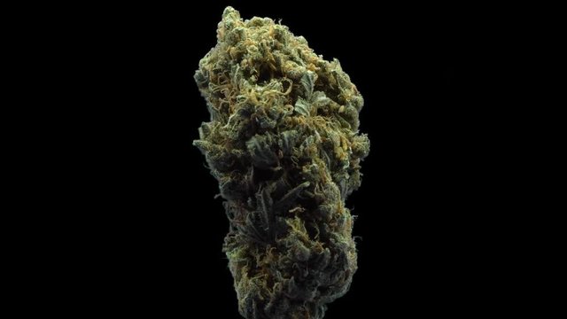 Cannabis, Haze, Strawberry Haze, Rotate, Strain, Bud, Macro