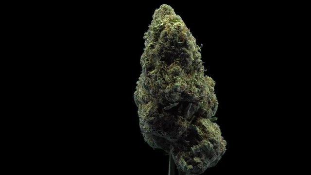 Cannabis, USA Weed, Zkittlez, Strain, Bud, Macro, Rotate