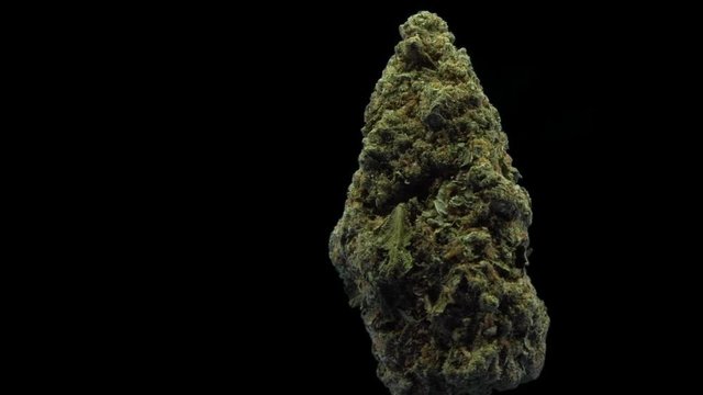 Cannabis, USA Weed, Zookies, strain, bud, rotate