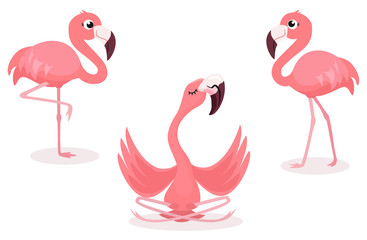 Set of cartoon flamingos isolated on white background. Vector illustration. - obrazy, fototapety, plakaty