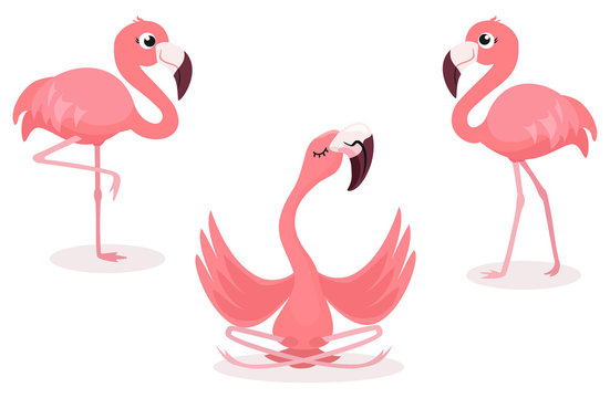 Set of cartoon flamingos isolated on white background. Vector illustration.