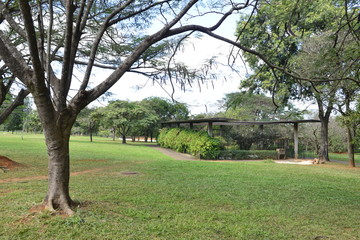 A beautiful view of Brasilia Zoo in the city.