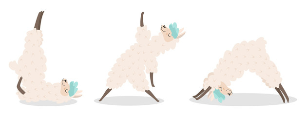 Set of stylish cartoon llamas in various poses of yoga. Vector illustrations isolated on white background. © Tayisiya