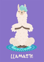 Yoga llama meditates isolated on purple background. Vector illustration.