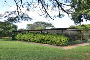 A beautiful view of Brasilia Zoo in the city.