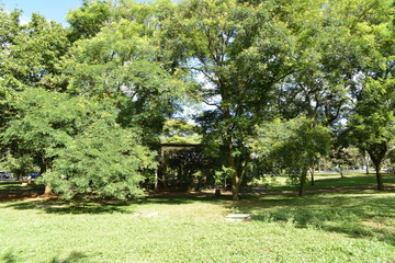 A beautiful view of Brasilia Zoo in the city.